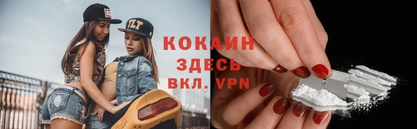 стафф Новокубанск