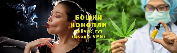 стафф Новокубанск