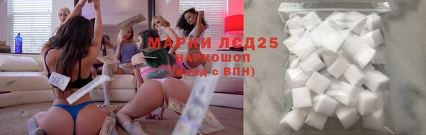 стафф Новокубанск