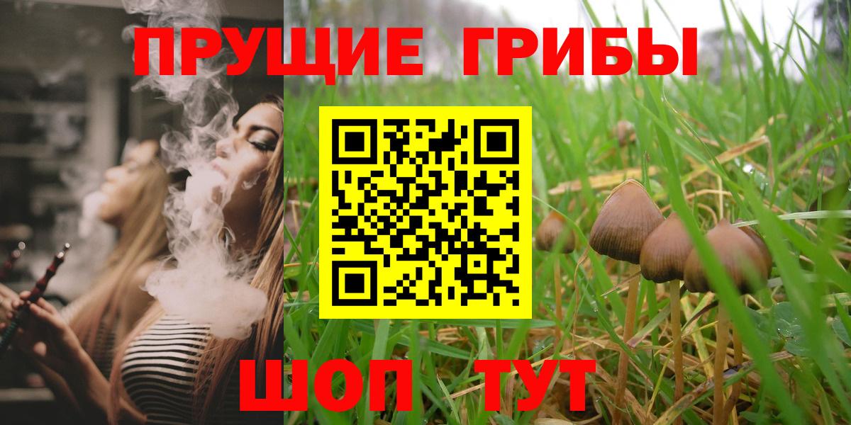 Азов  Галлюциногенные грибы Psilocybe  Вход с VPN  Галлюциногенные грибы прущие грибы 
