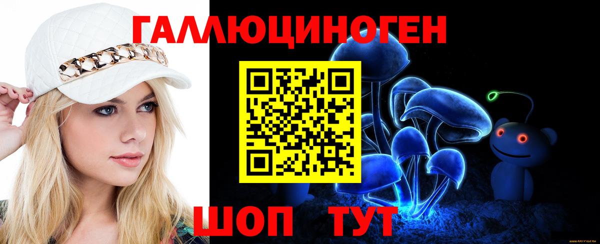 Галлюциногенные грибы Psilocybe Азов